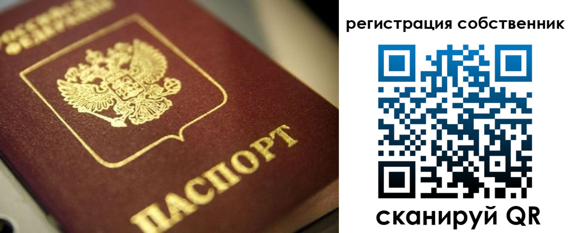 прописка в Ржеве